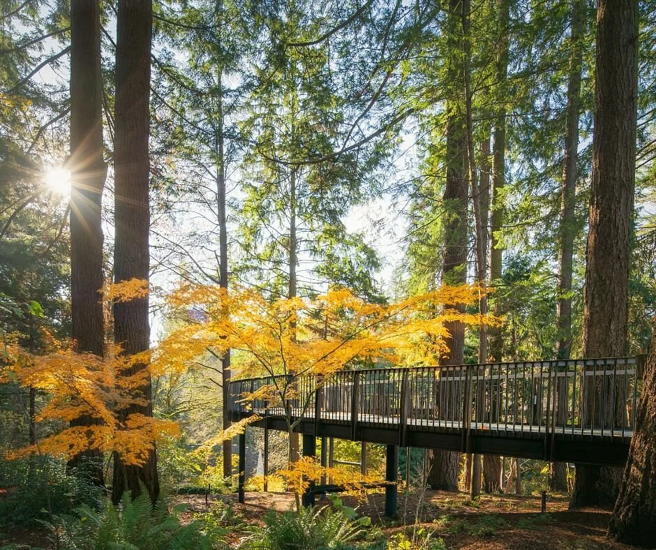 Leach Botanical Garden