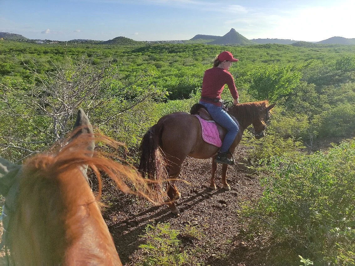 Rancho Alegre Curacao