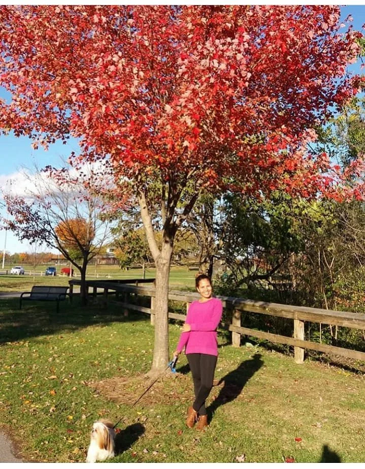 Fairgrounds Park