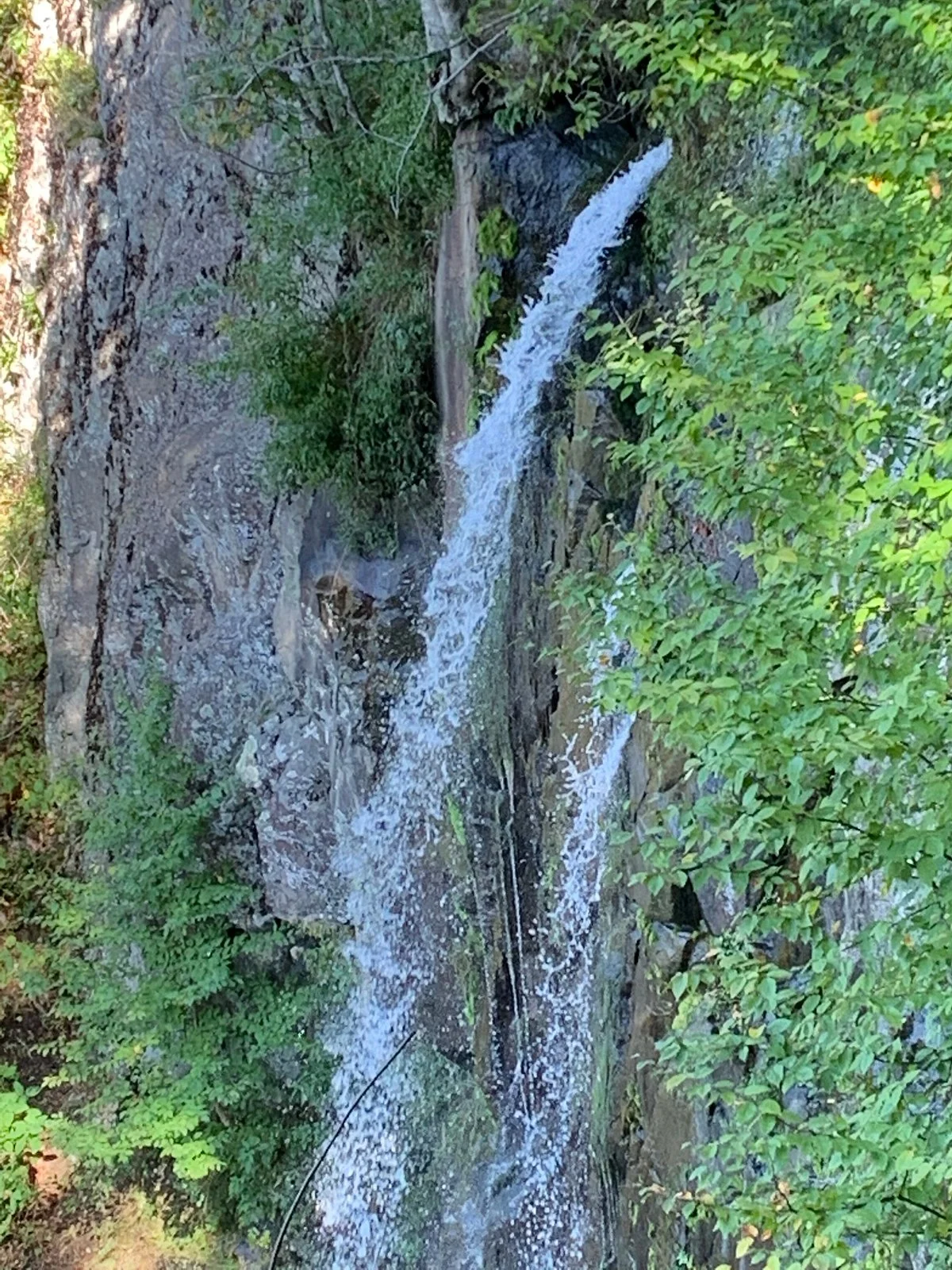 Lewis Spring Falls