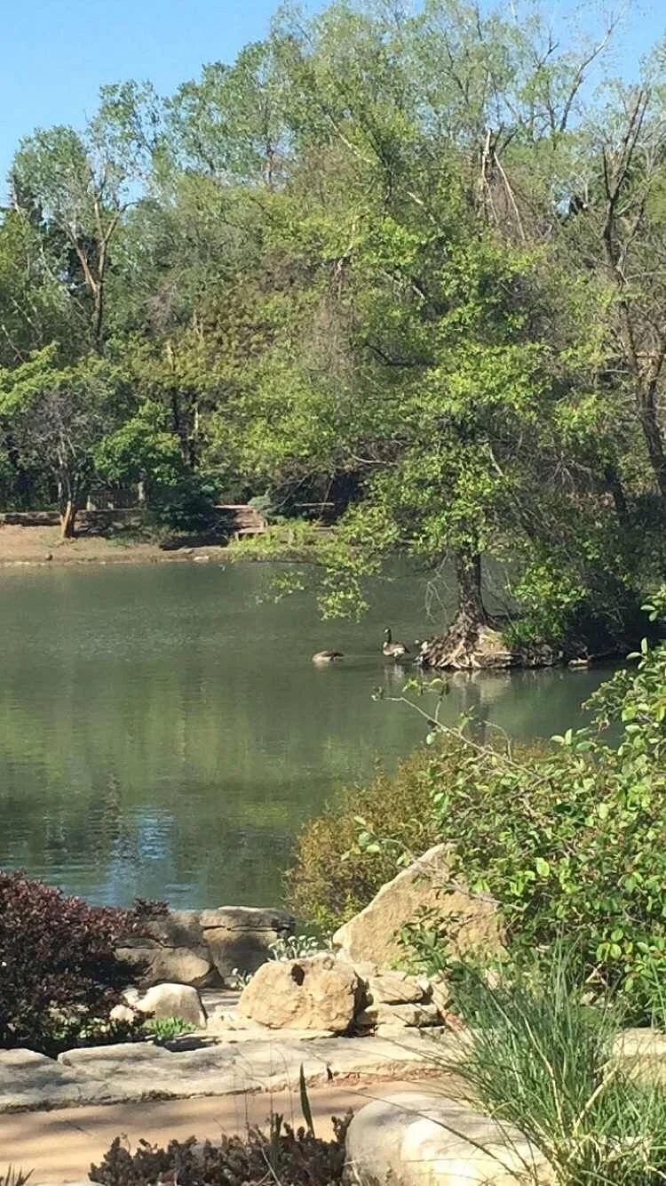 Dillon Nature Center