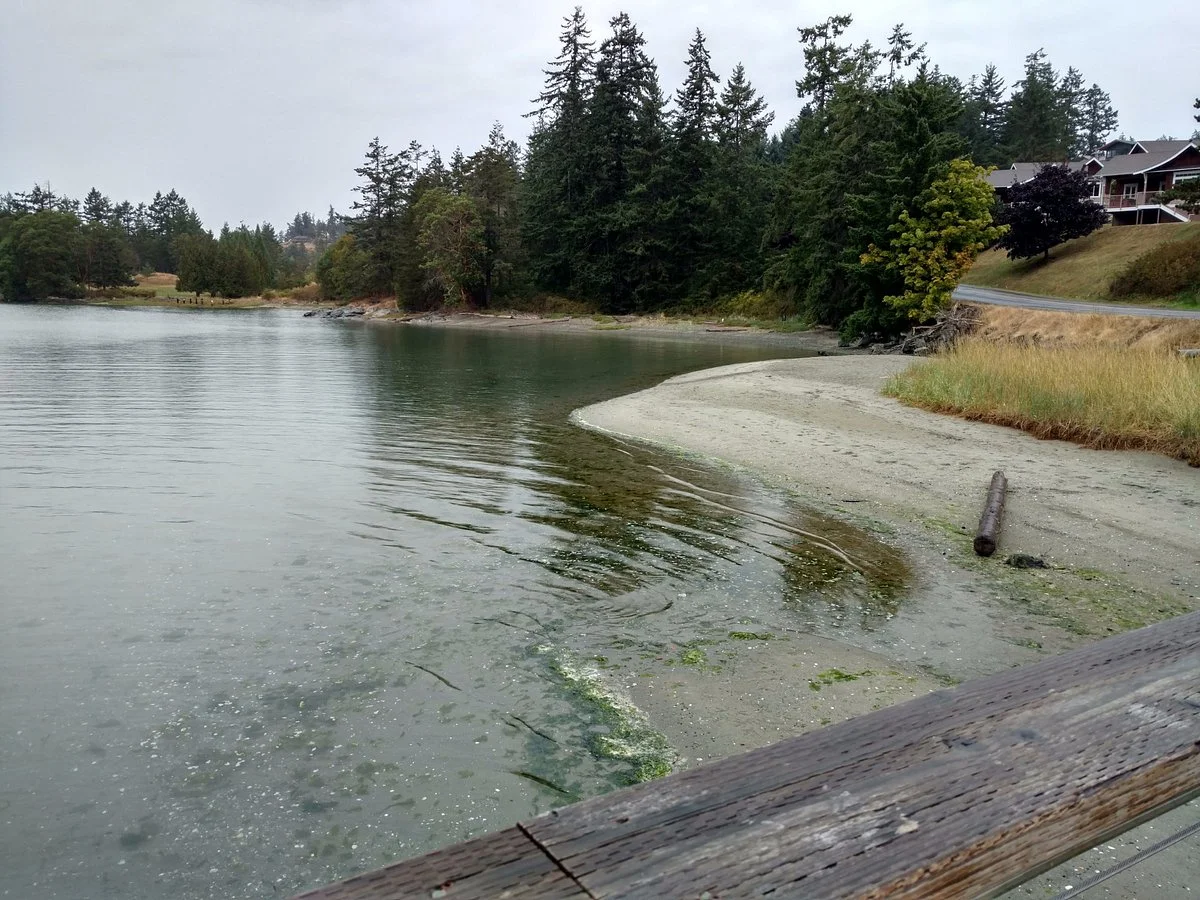 Deer Harbor Marina