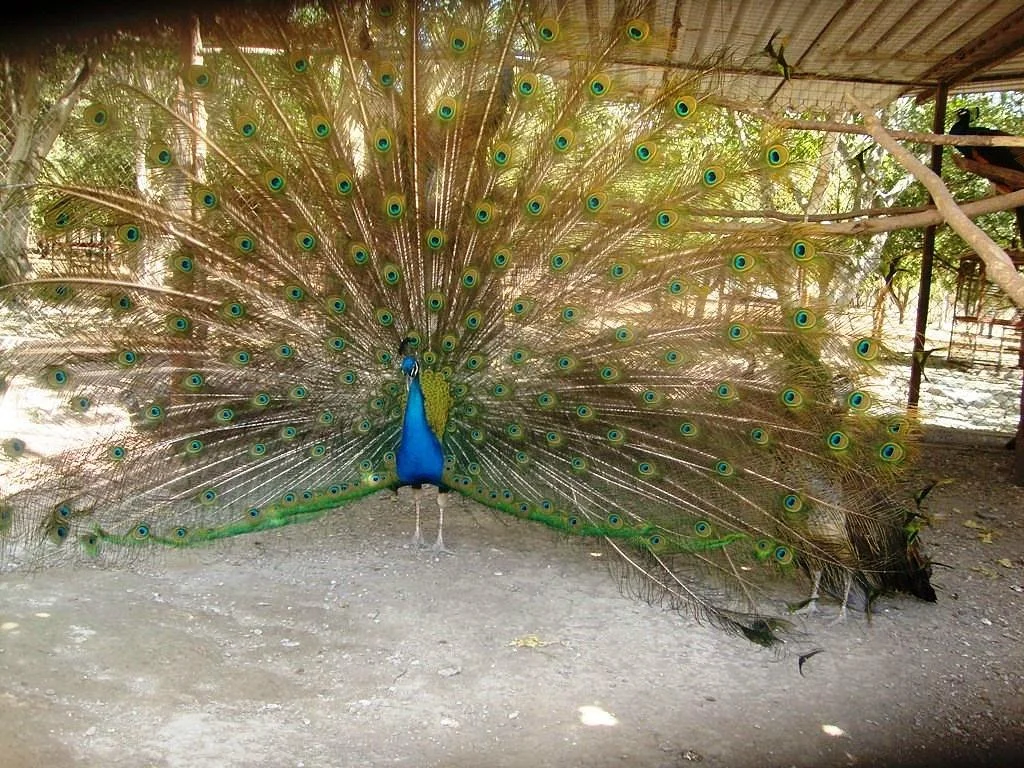 Parque Ecologico El Palapo