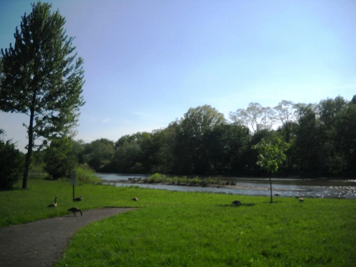 Mill Stream Run Reservation