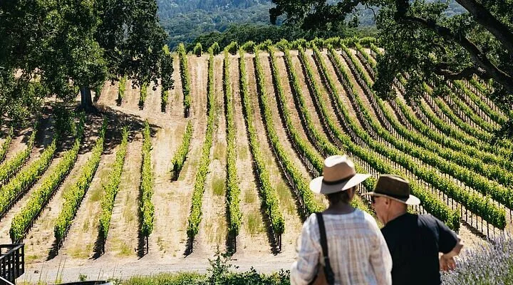 Villa Ragazzi Winery