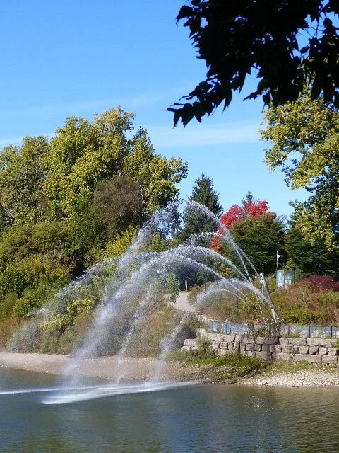Ivey Park