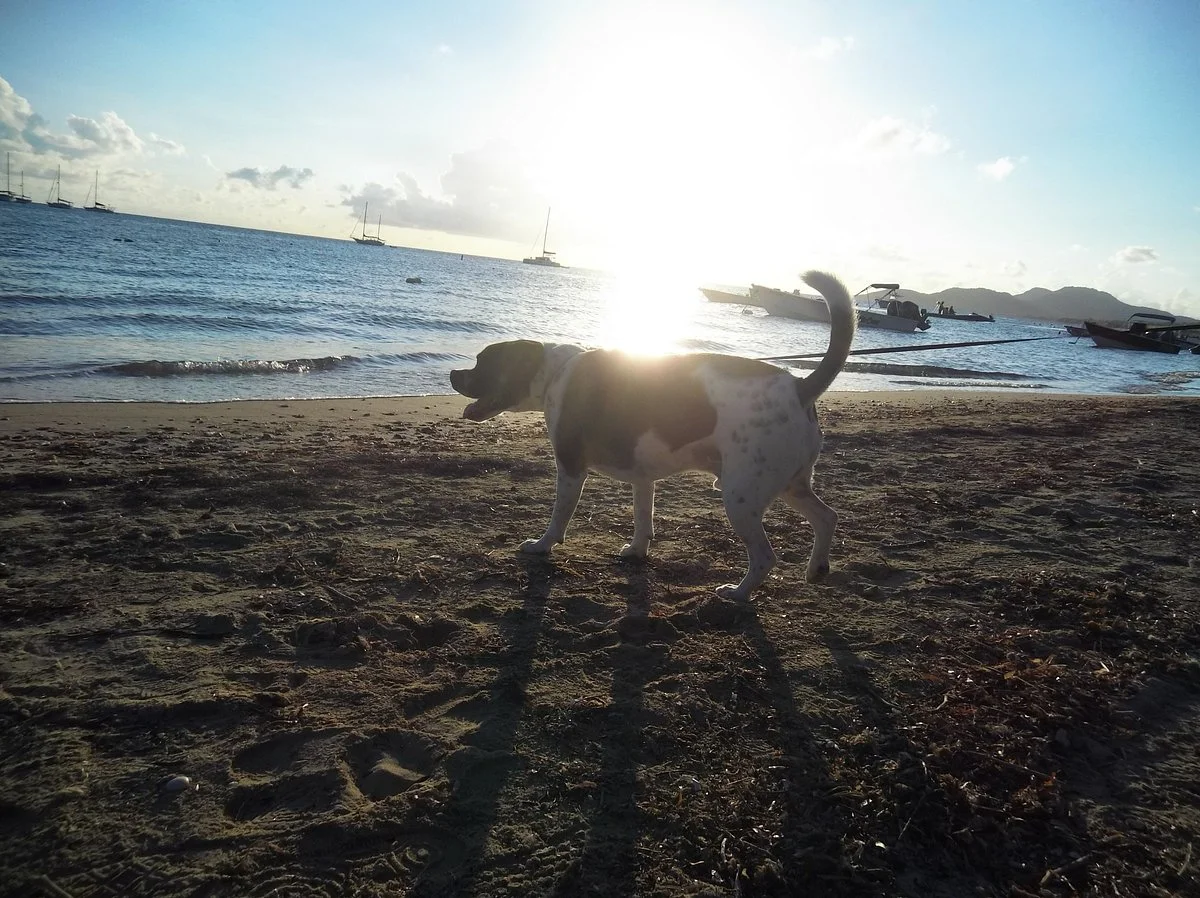 Esperanza Beach