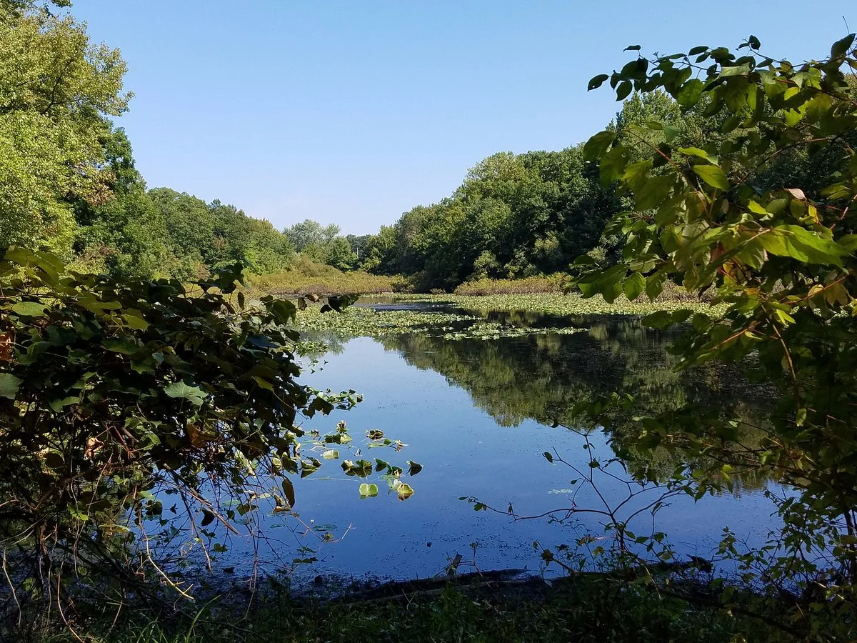 Tenafly Nature Center
