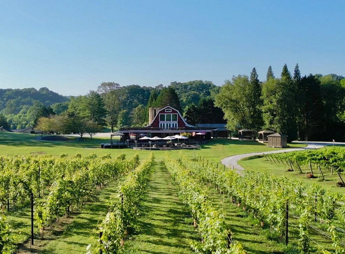 Tiger Mountain Vineyards