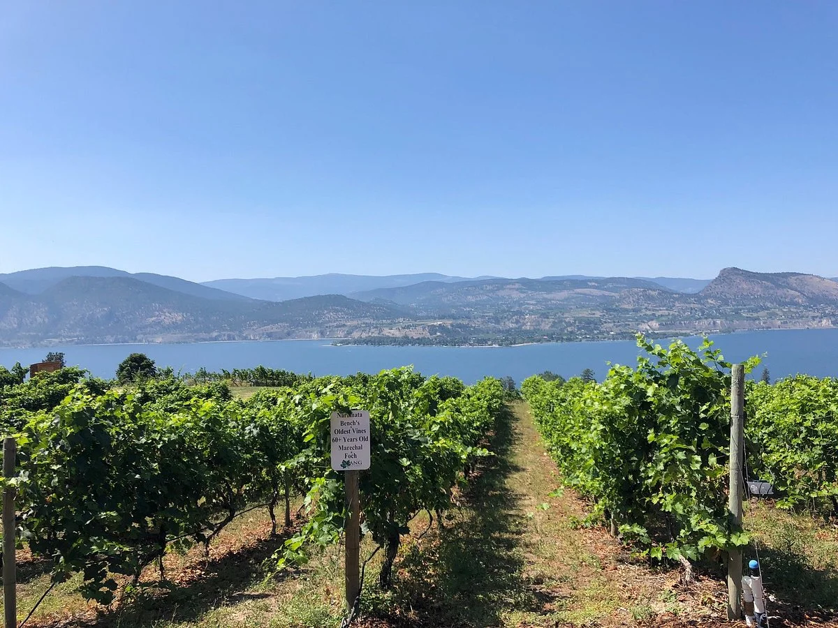 Lang Vineyards
