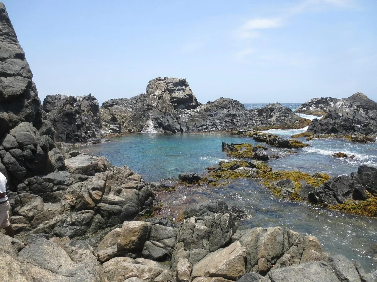 Aruba Trail Runner's