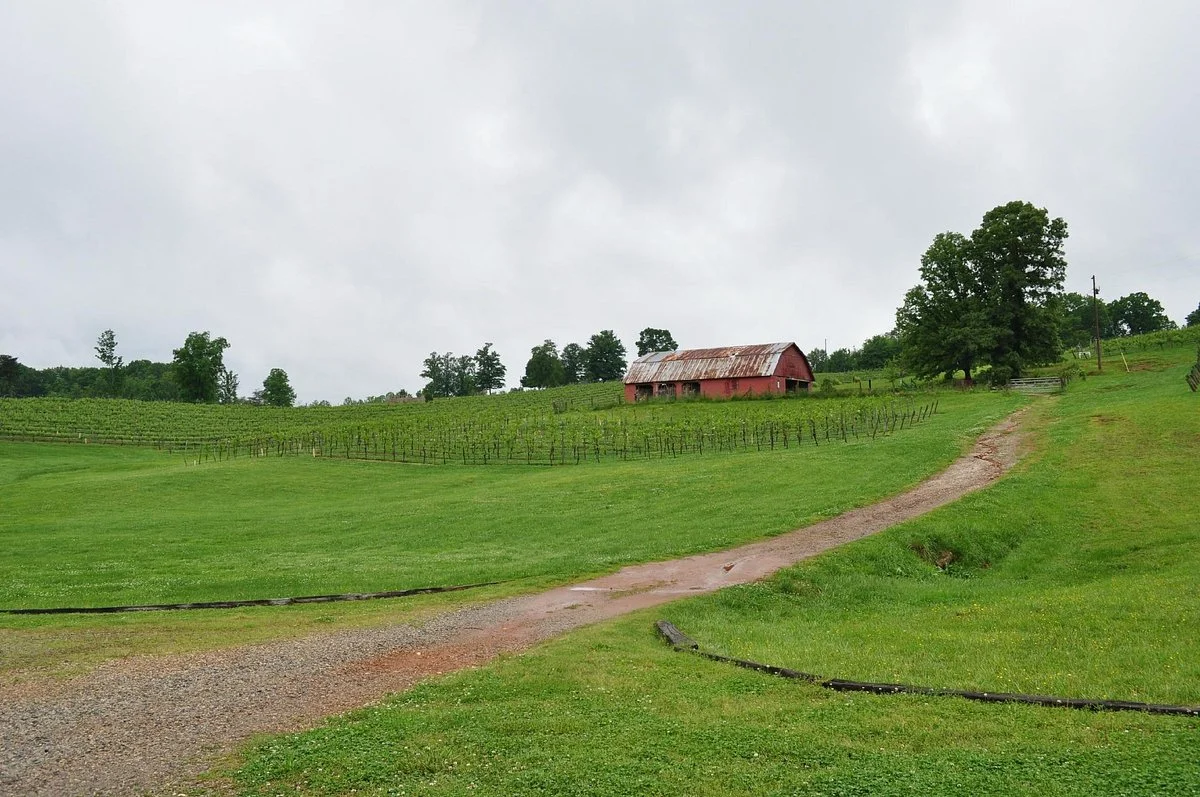 Three Sisters Vineyards & Winery