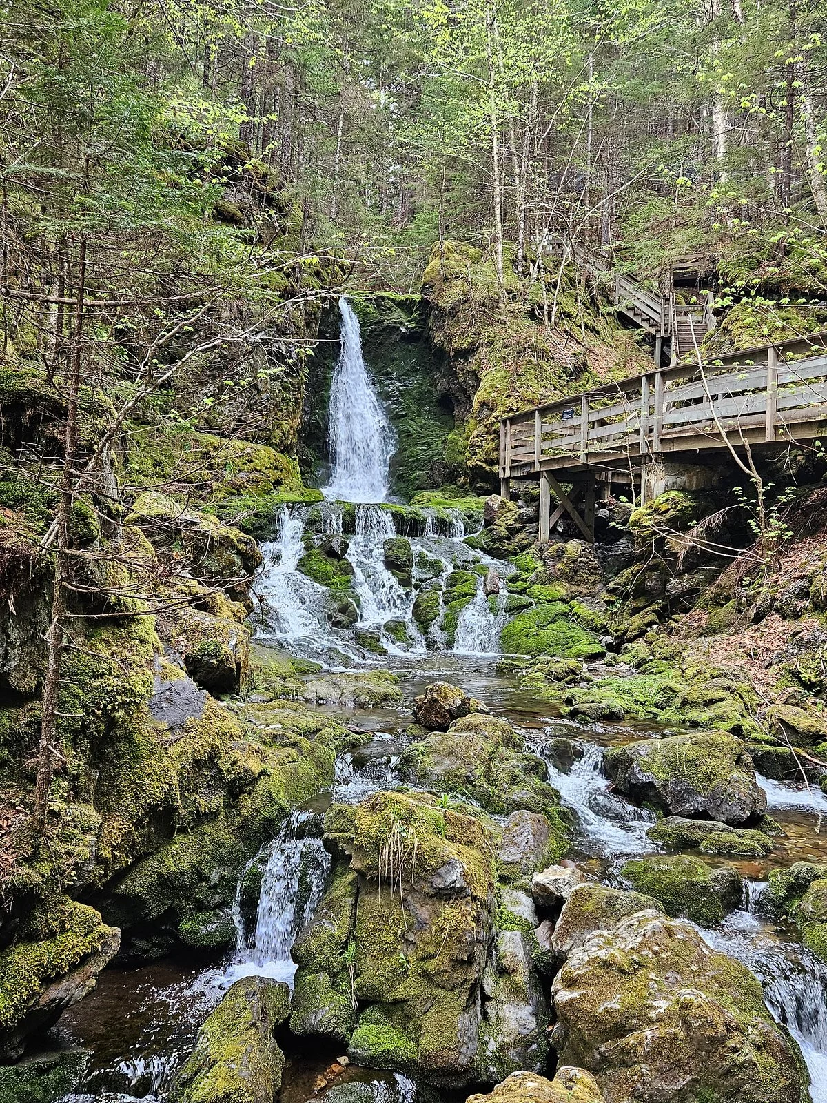 Dickson Falls