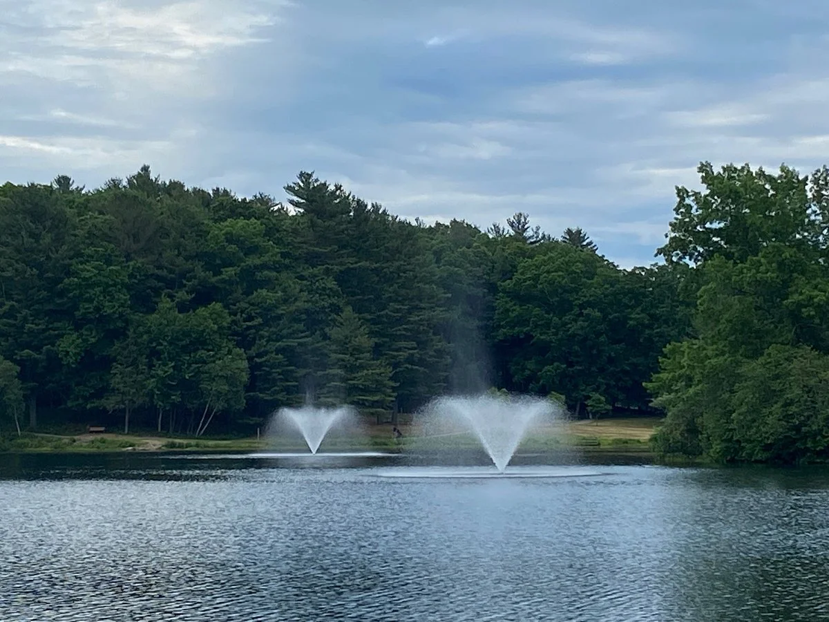 Mohegan Park