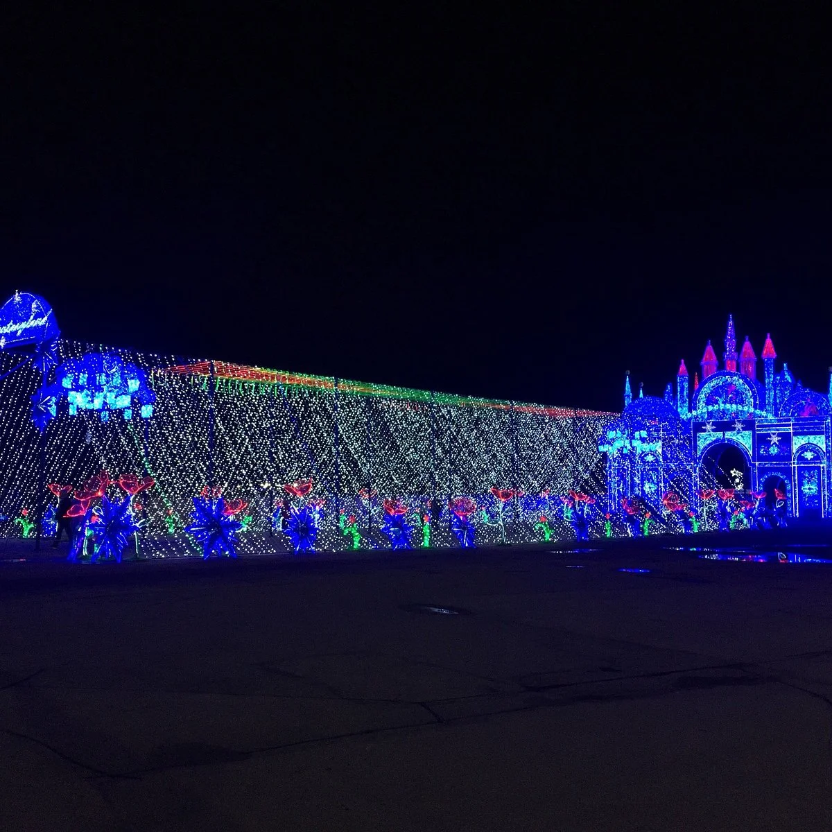 Lights of The North