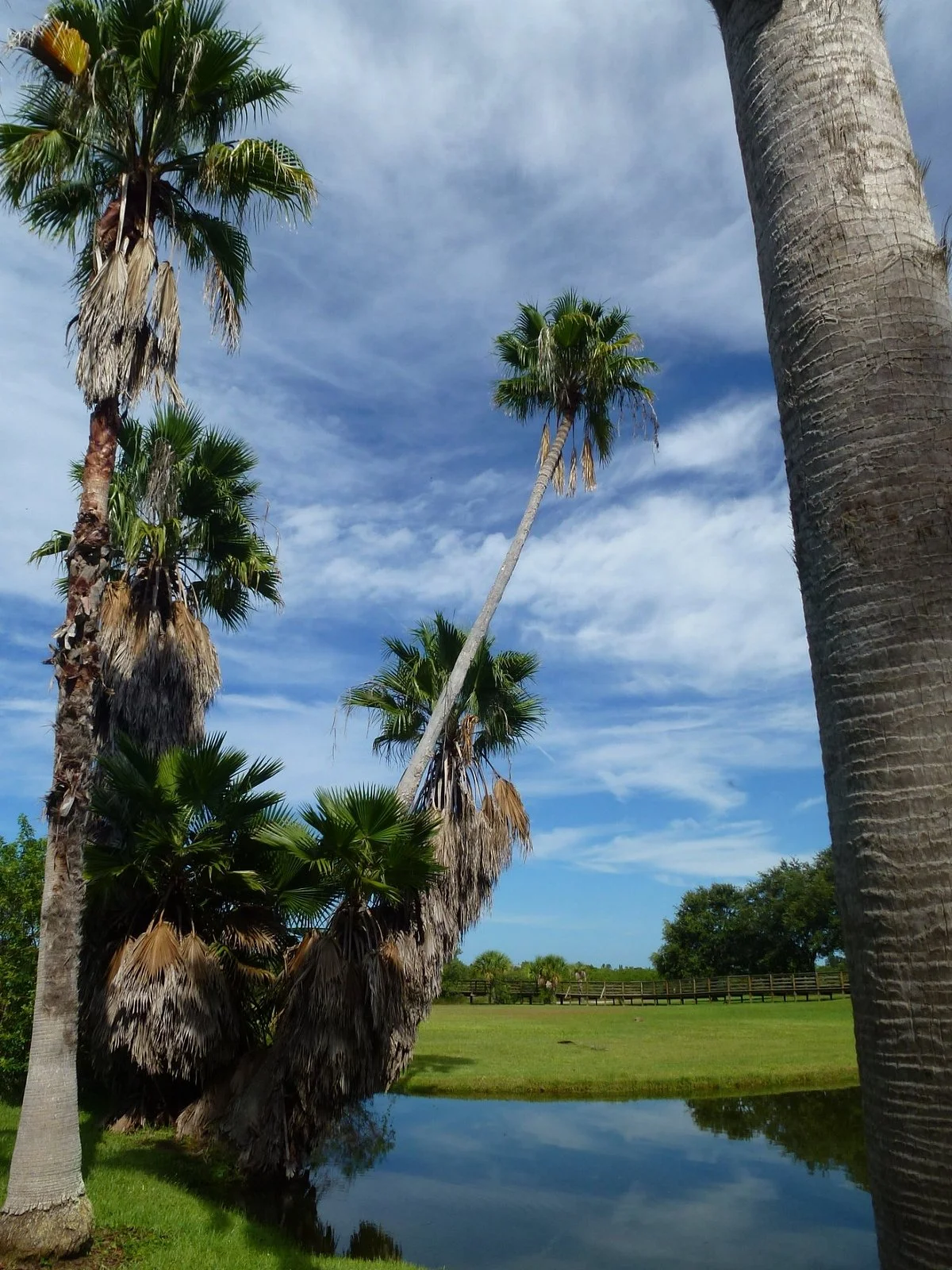 John R. Bonner Nature Park