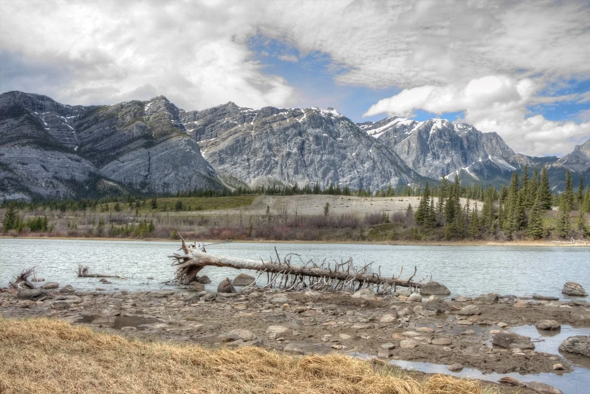WhiteFish - BowRiver - ElkFlats Loop