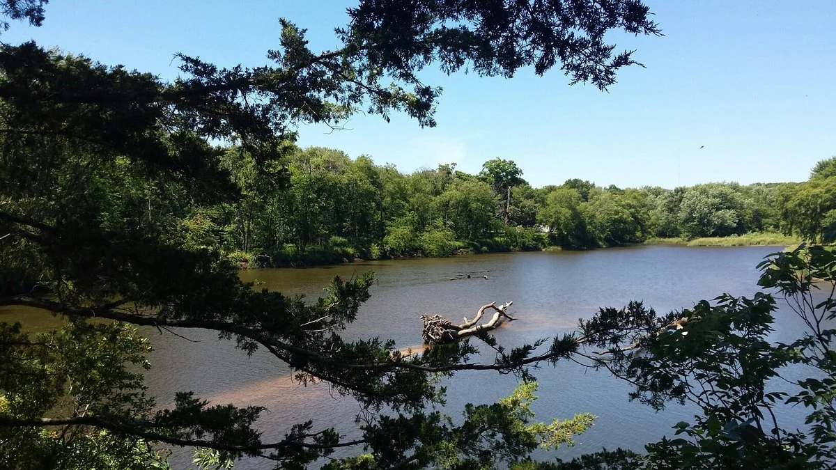 Cedar Rock State Park (Lowell Walter Residence)