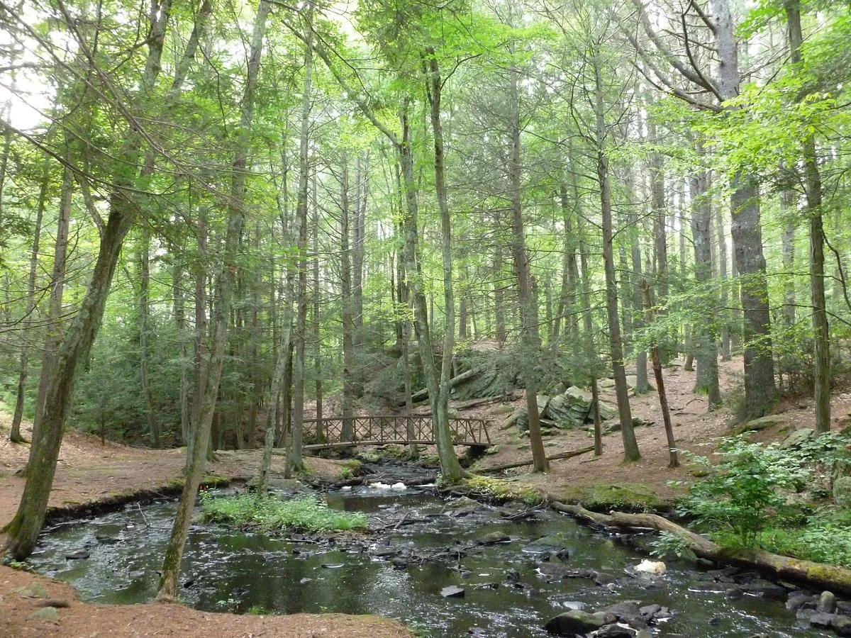 Mowry Conservation Area