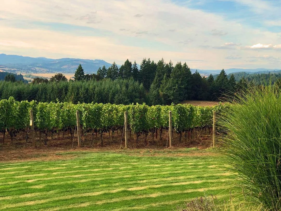 Eminent Domaine