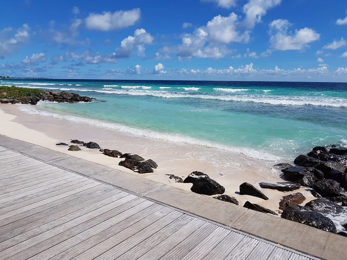 Richard Haynes Boardwalk