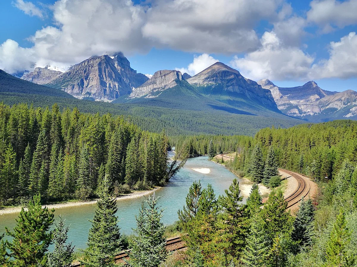 Morant's Curve