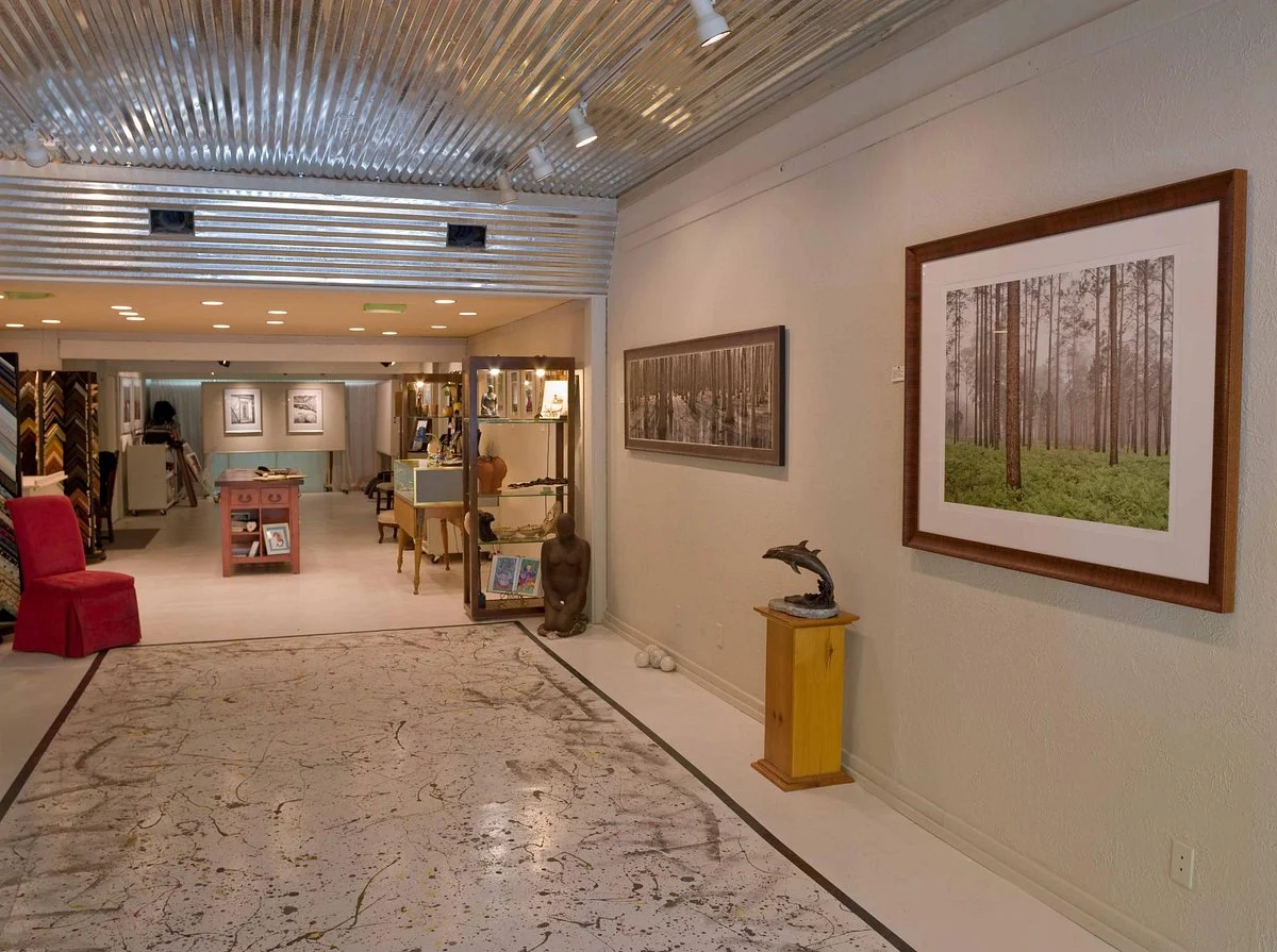 Picture This Gallery