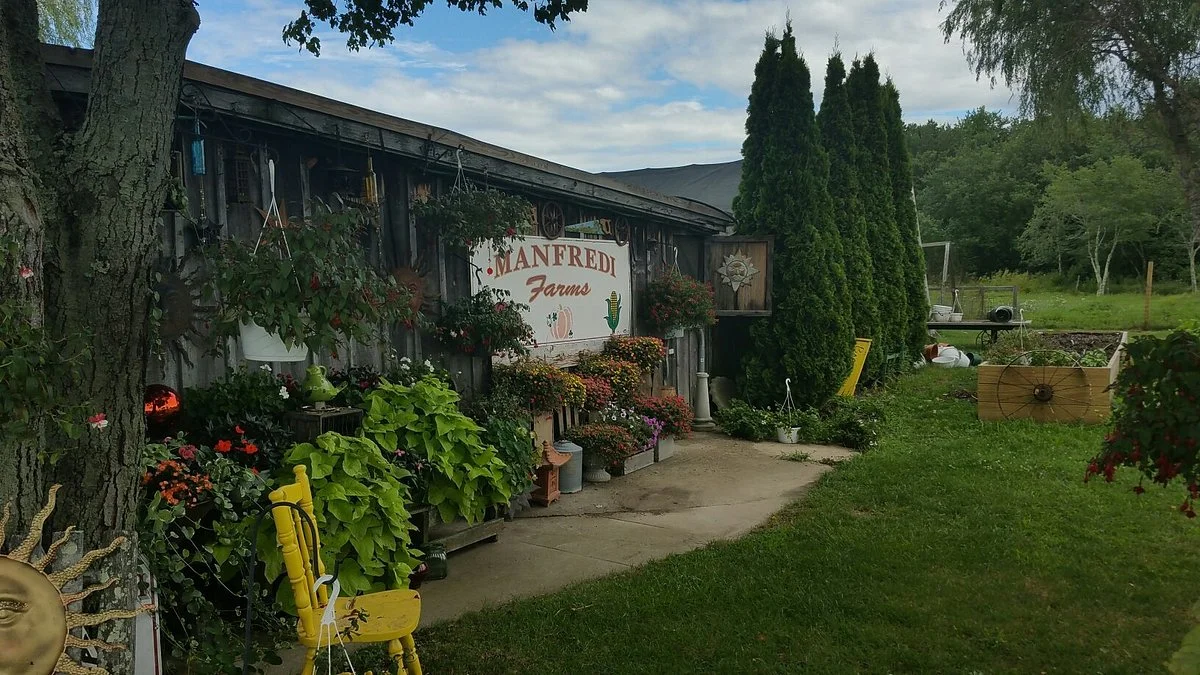 Manfredi Farms