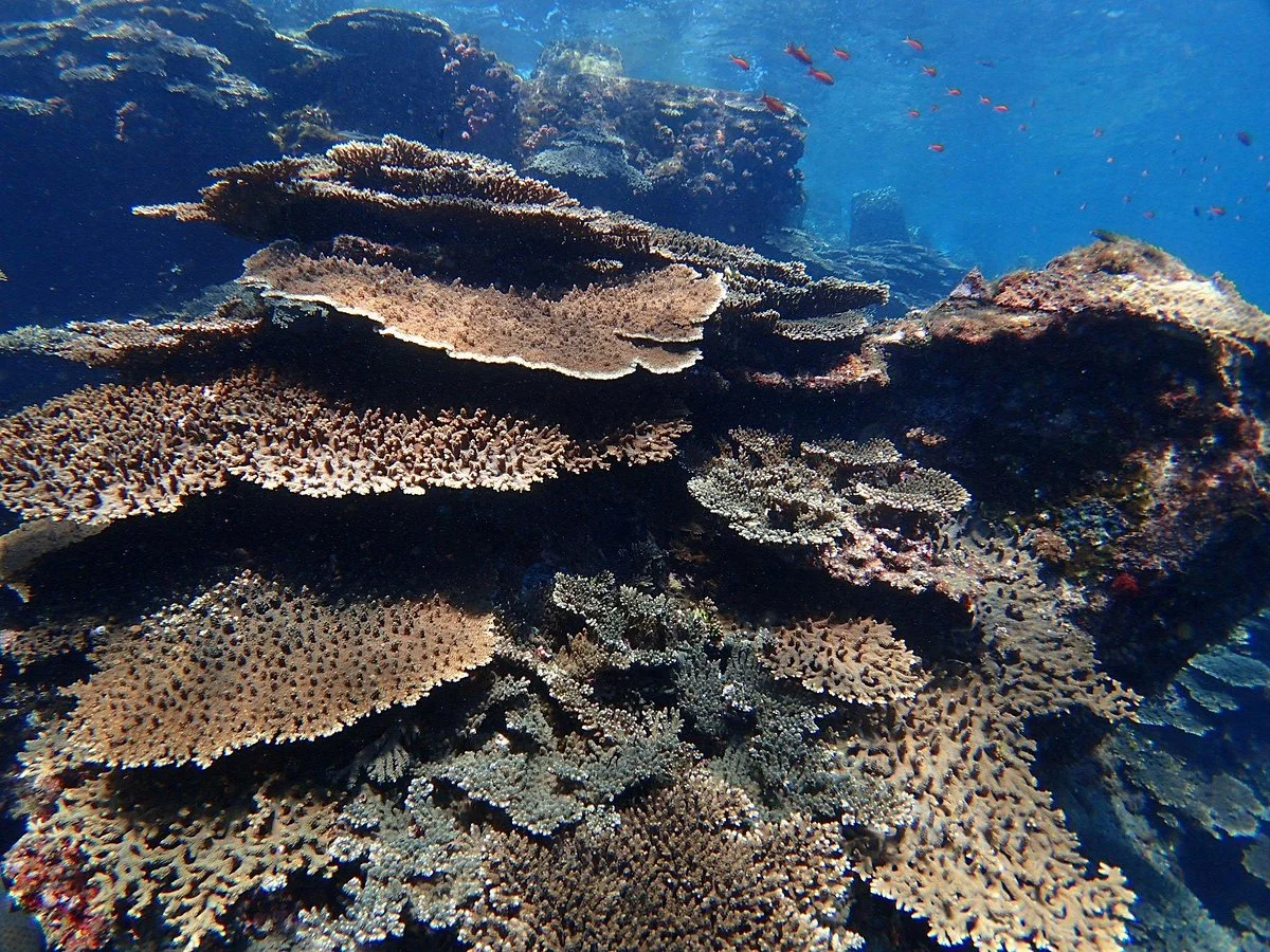 Ugurushima Island