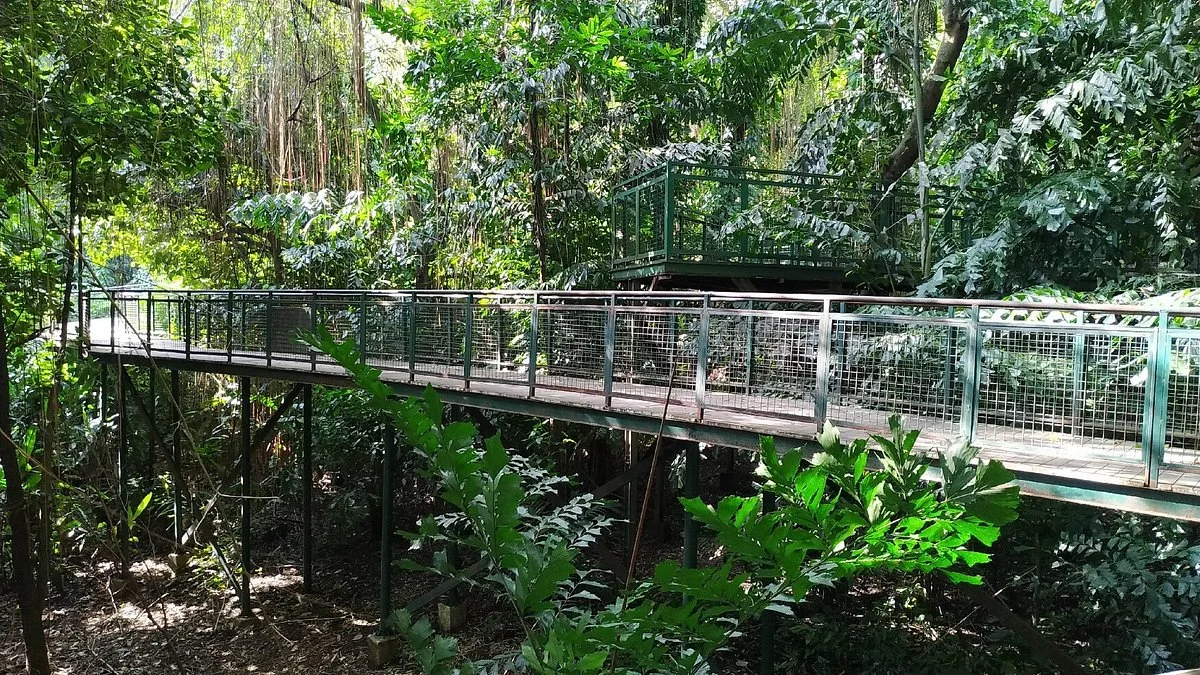 Forest Walk Babakan Siliwangi
