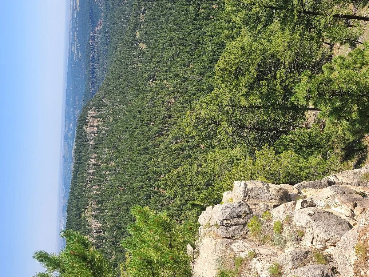 Buzzards Roost
