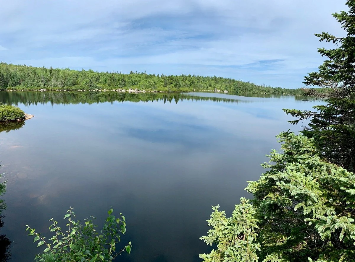 Bluff Wilderness Hiking Trails
