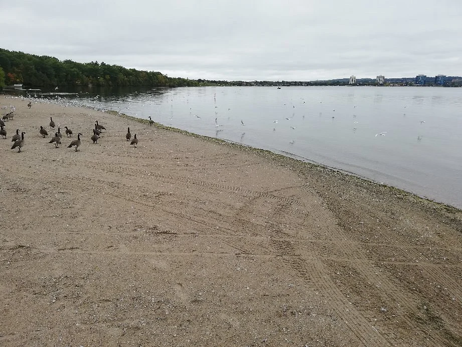 Minet's Point Park