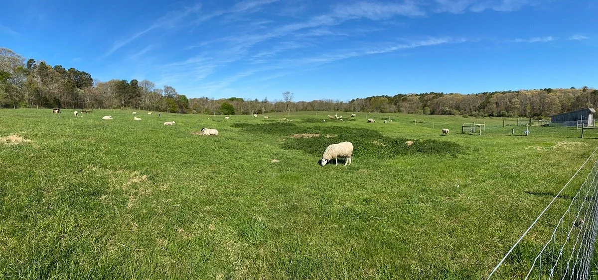 Peterson's Farm