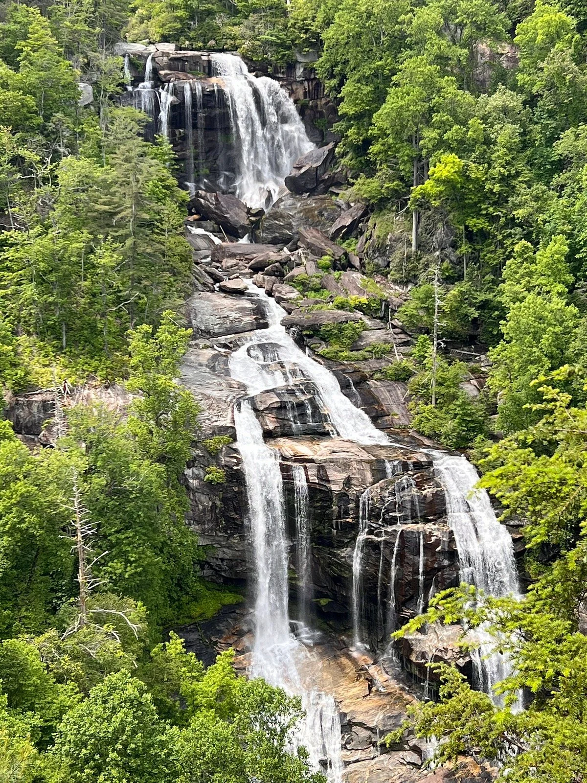 Melrose Falls