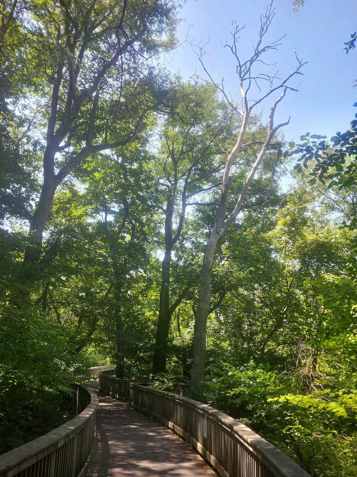 Audubon Society  Environmental Education Center