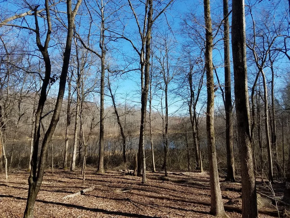 Baker's Pond