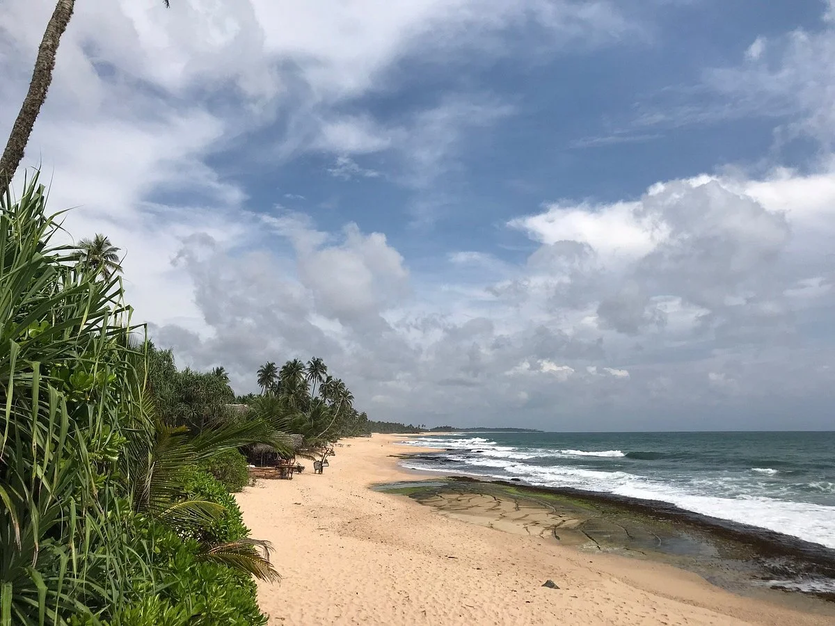 Turtle Conservation Project Turtle Watch