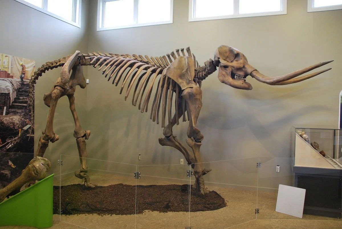Sydney Mines Heritage Museum and Fossil Centre