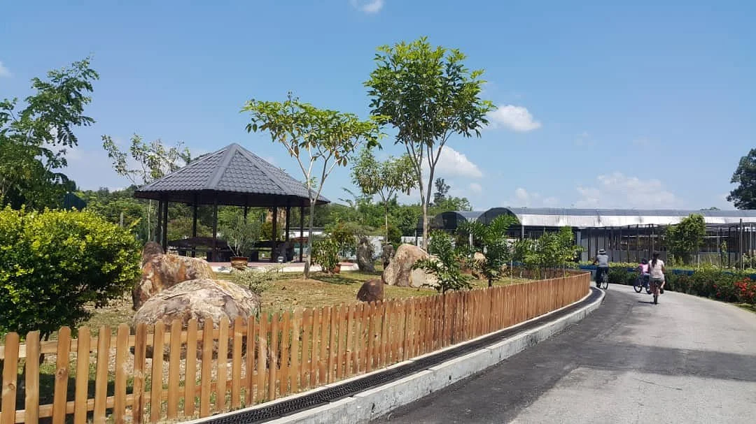 KLB Garden