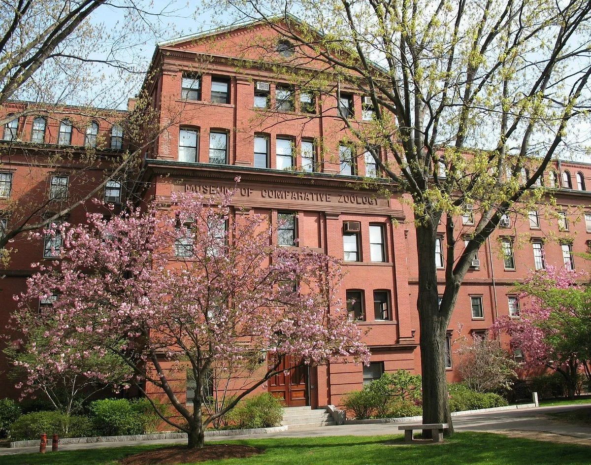 Museum of Comparative Zoology
