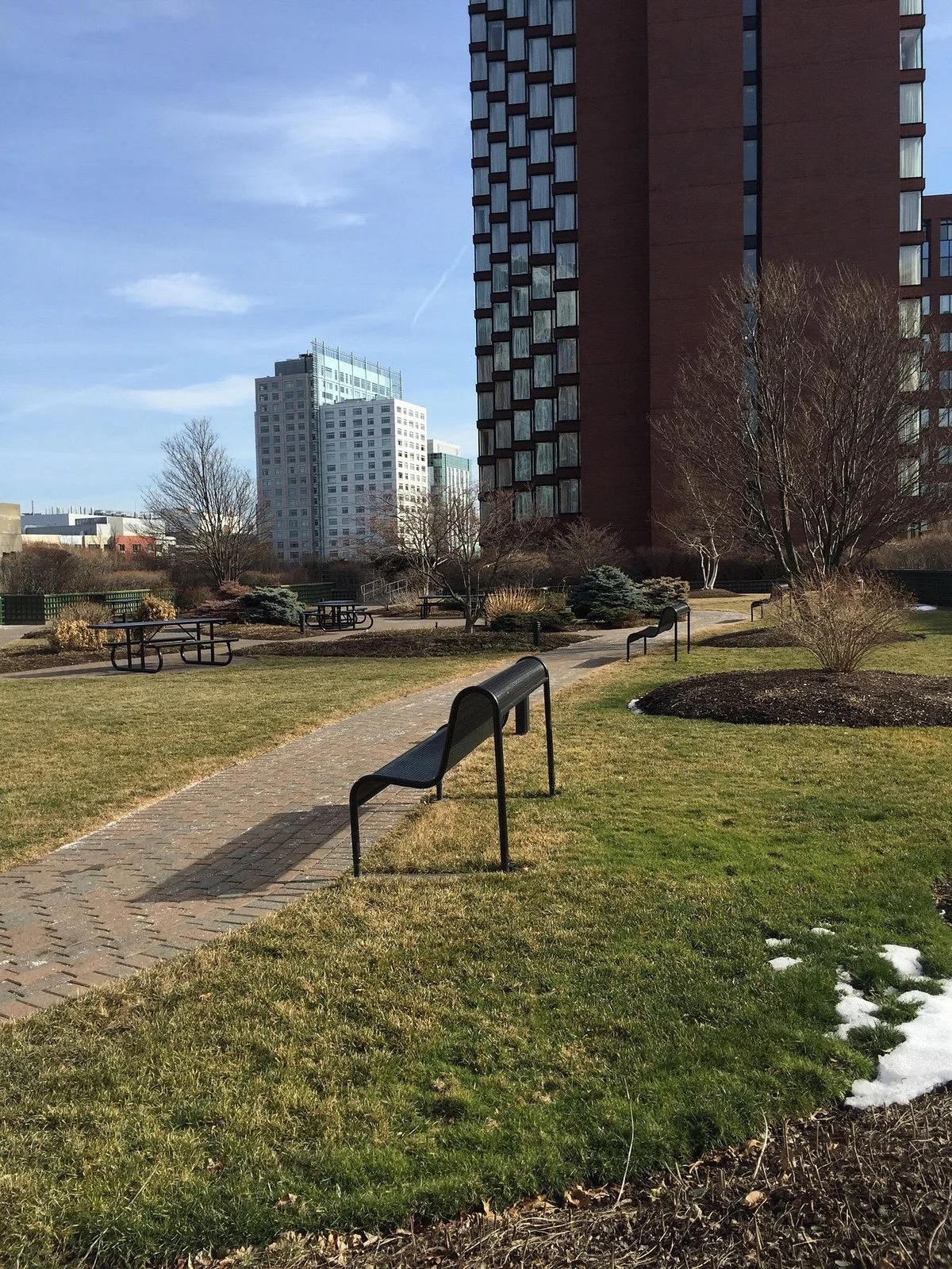 Cambridge Center Roof Garden