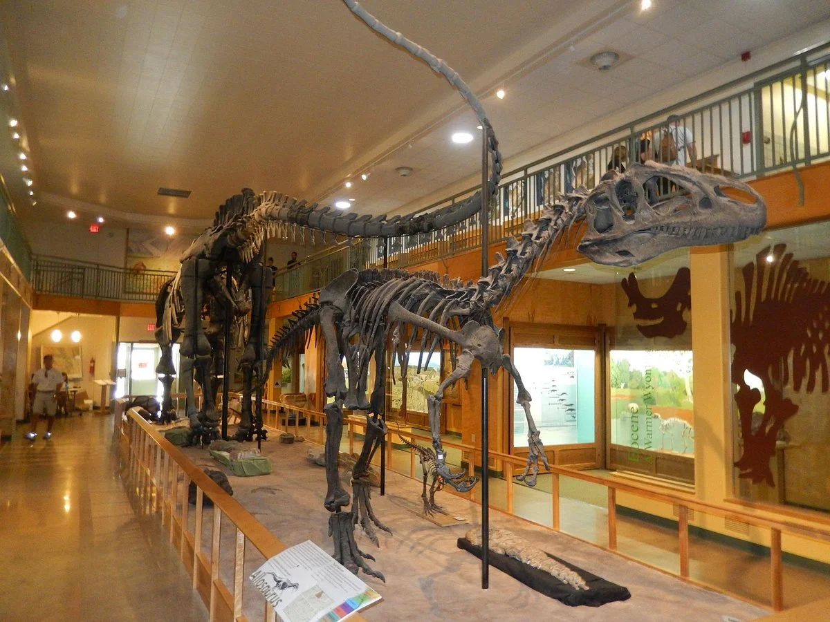 University of Wyoming Geological Museum