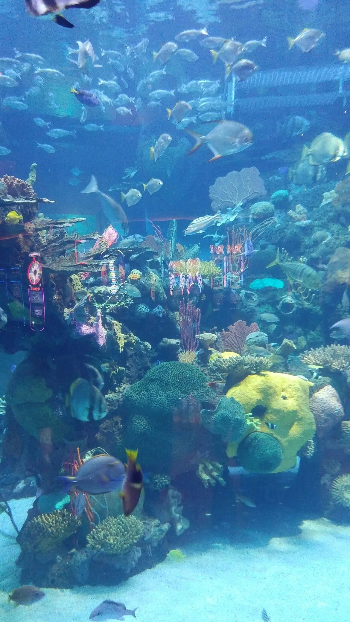 Silverton Aquarium
