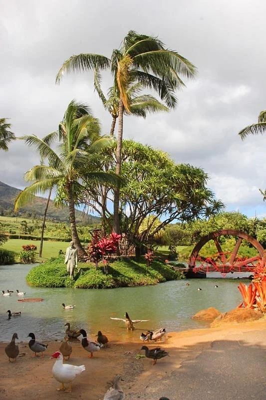 Tropical Gardens of Maui