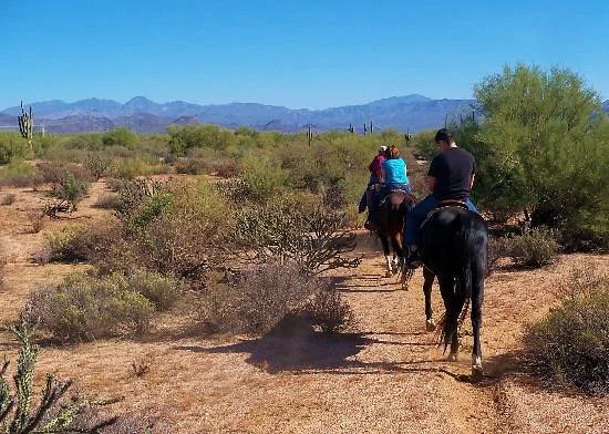 Arizona Cowboy College