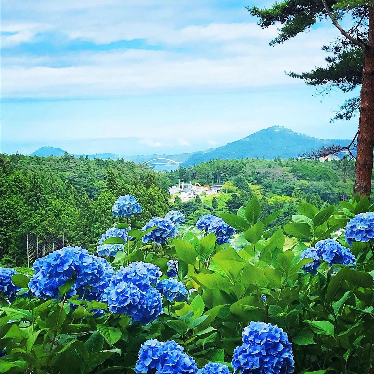 Akasaka Public Park