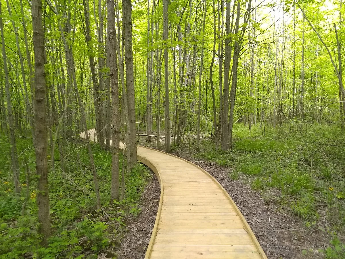 Fowler Woods State Nature Preserve