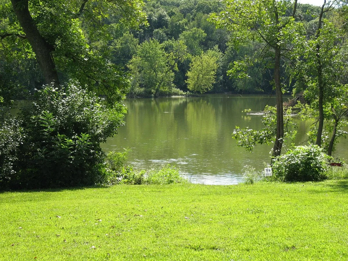 Vasa Park