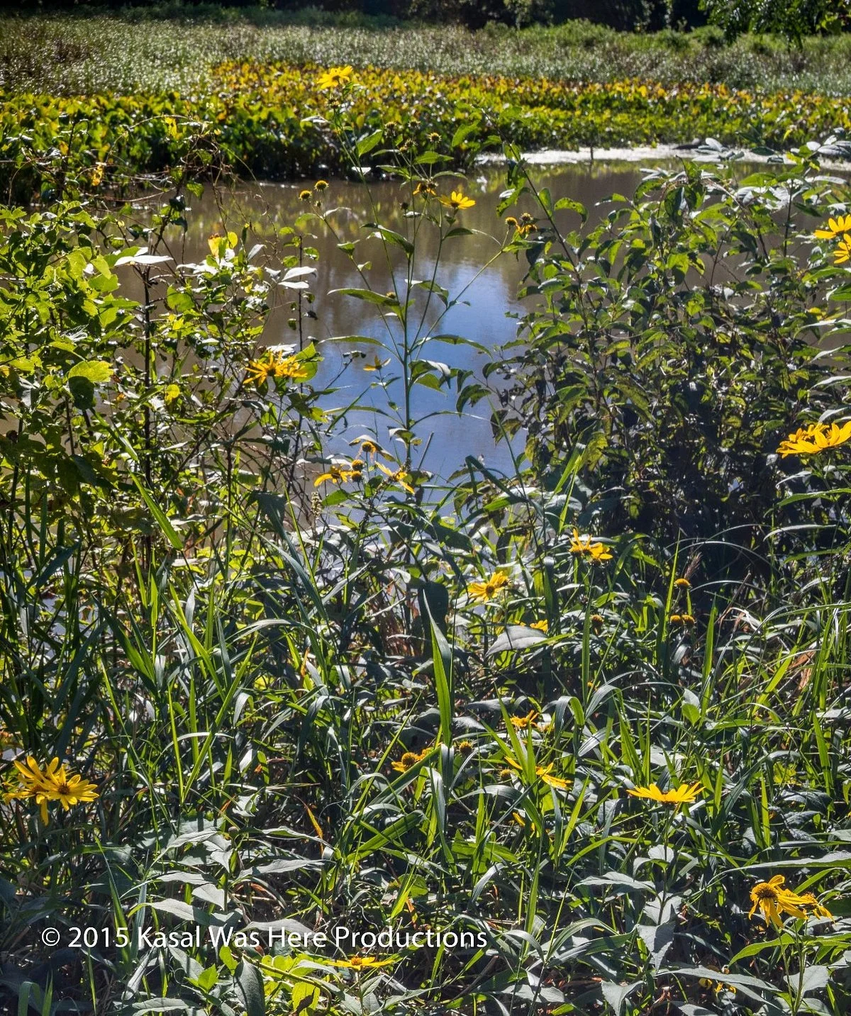 Water Works Park